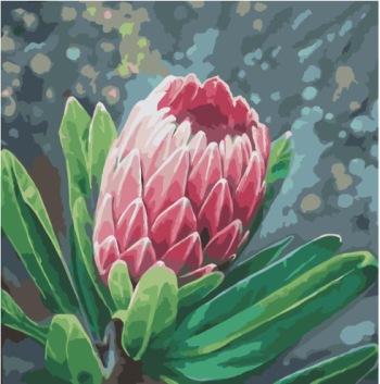 Queen Protea