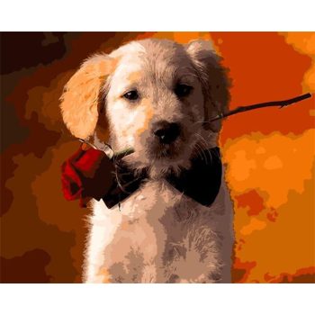 Adorable Dog