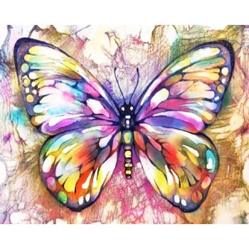 Colourful Butterfly