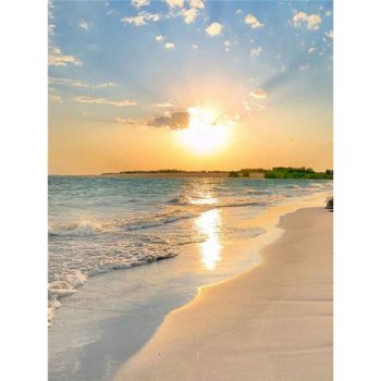 Beach Sunshine
