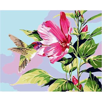 Hummingbird Flower