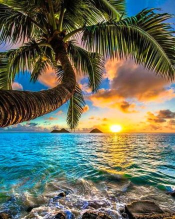 Beach Summer
