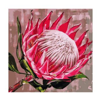 Protea No 2