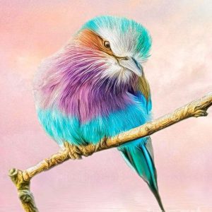 Roller