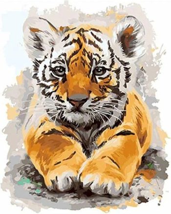 Baby Tiger