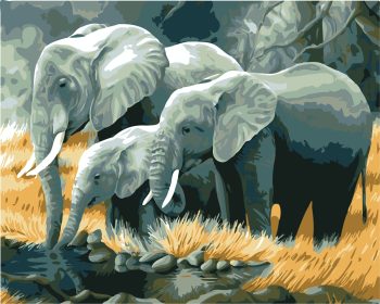 Elephant Herd