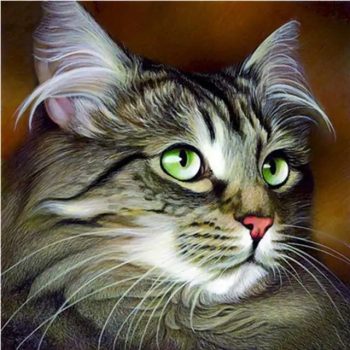 Siberian Cat