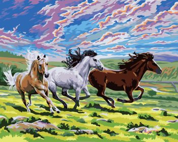 Wild Horses