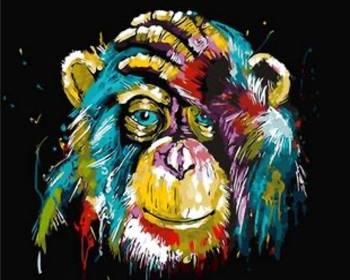 Colourful Monkey