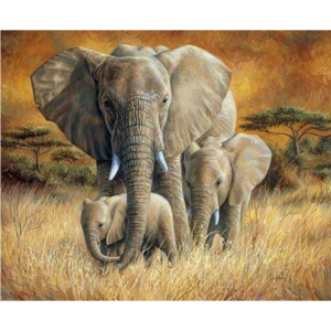 Elephant Family