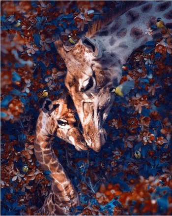 Giraffe Love