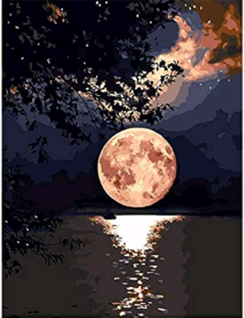 Moonlight Love