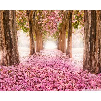 Blossom Lane