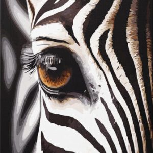 Zebra Beauty