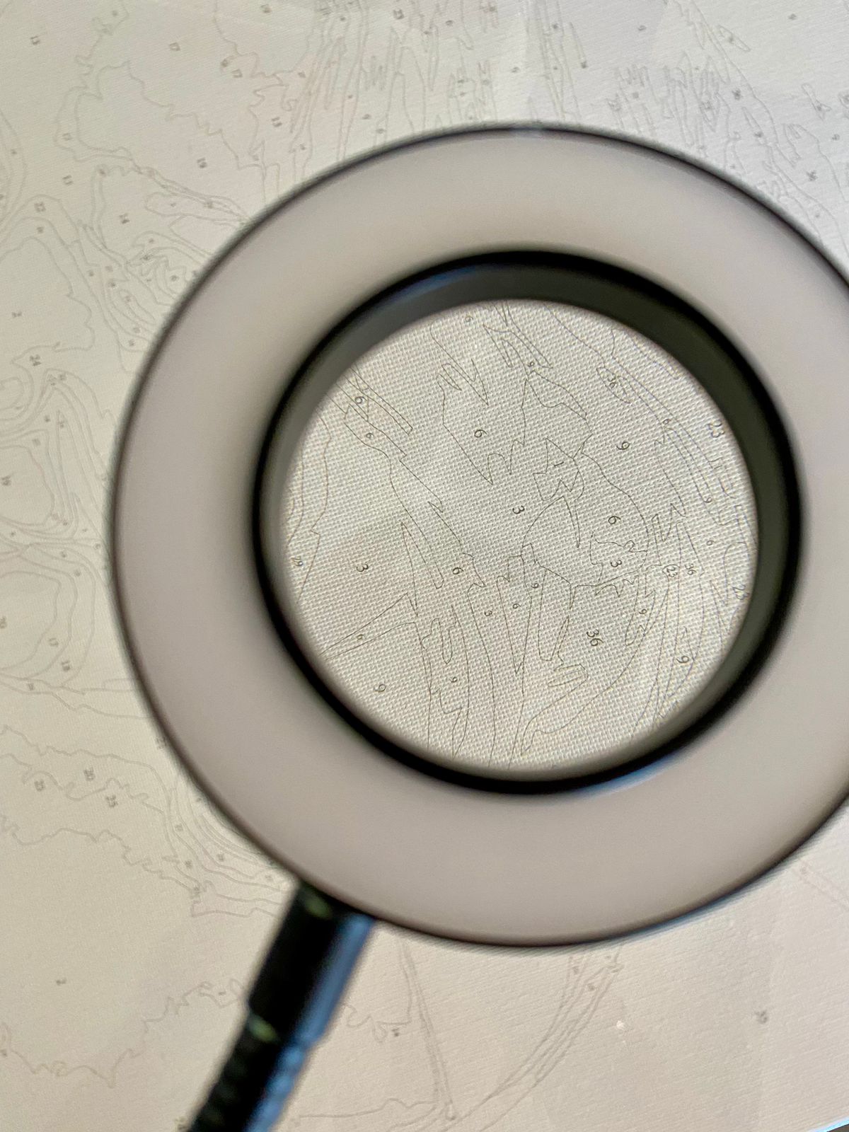 Magnifying Lamp - Image 3