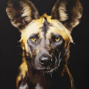 Wild Dog