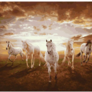 Herd Of Horses